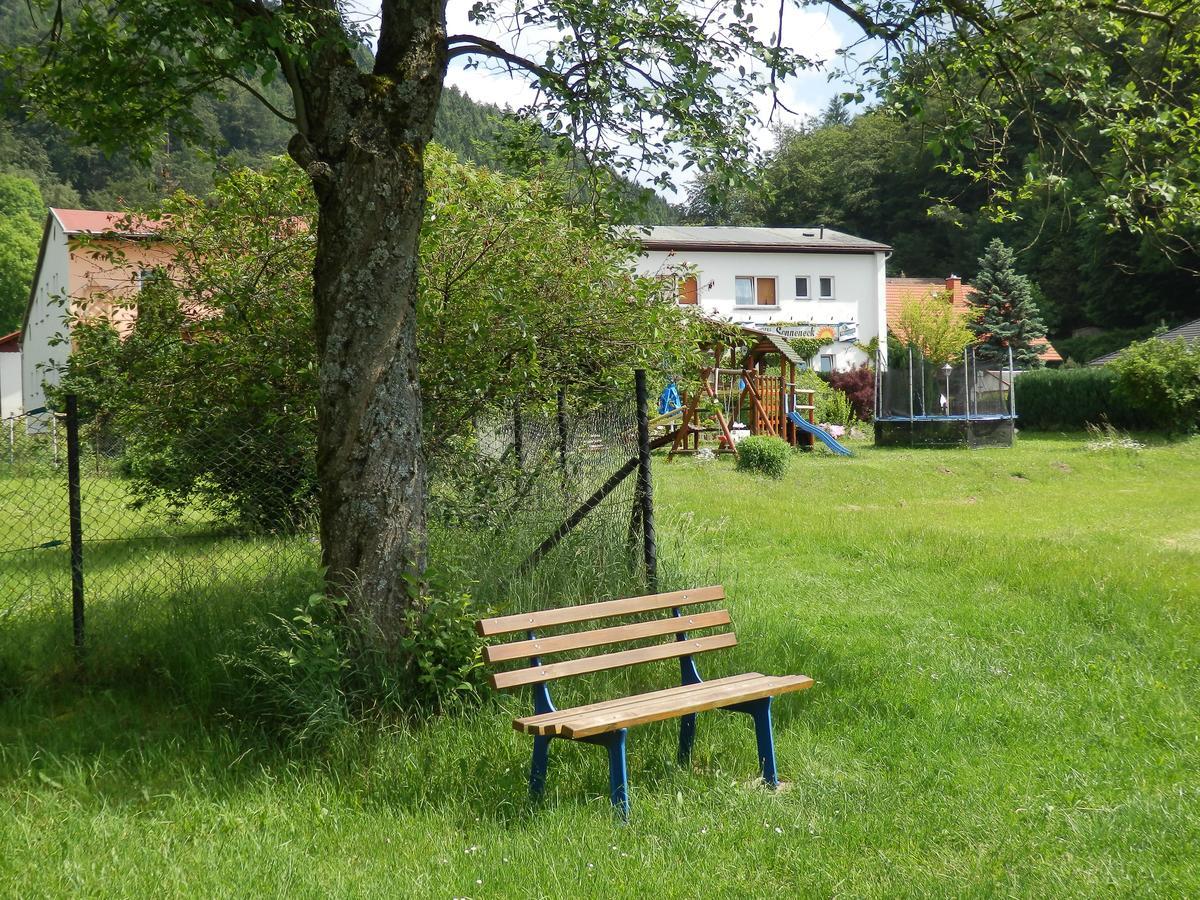 Hotel Und Gasthof "Sonneneck" Schalkau Exterior foto